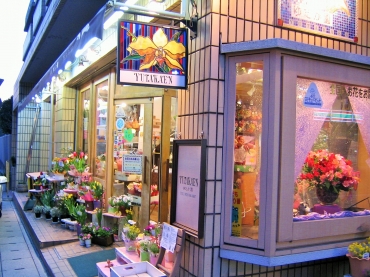「神戸　ゆたか園」　（兵庫県神戸市東灘区）の花屋店舗写真2